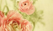 开心的简短句子大全