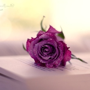 快乐短句完整列表1