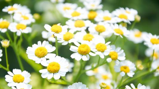 关于家庭的简短句子