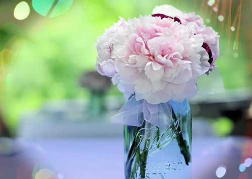 家庭之爱和美丽的简短句子1