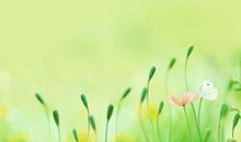 有关亲情的简短英文句子