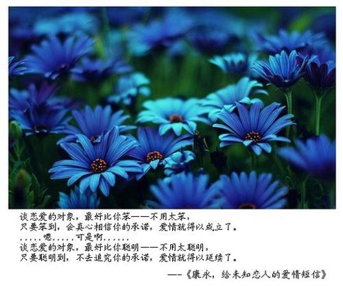 美丽的爱情讯息