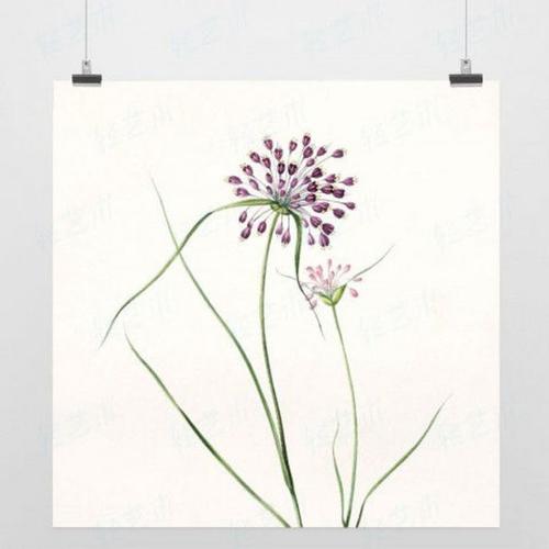 有关亲情唯美古风句子 2