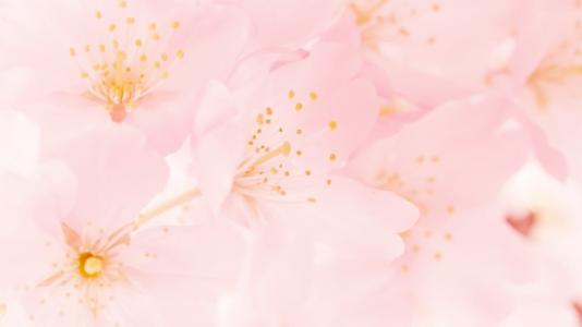 亲情之间火苗的句子 1