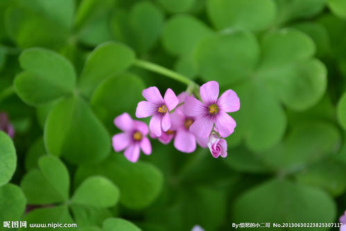 亲情之间火苗的句子 2