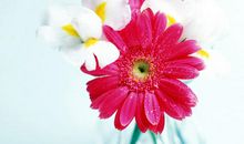 劝人留恋亲情的句子