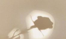 很酷的朋友圈文案 发朋友圈很酷的句子