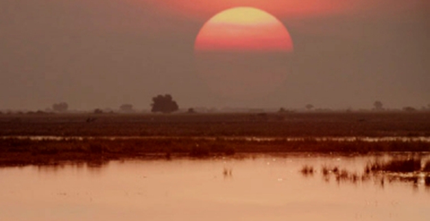 带着那些不成熟和天真的笑容。