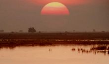 关于思念故乡的句子