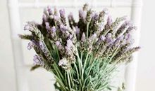 有关亲情和谐的句子