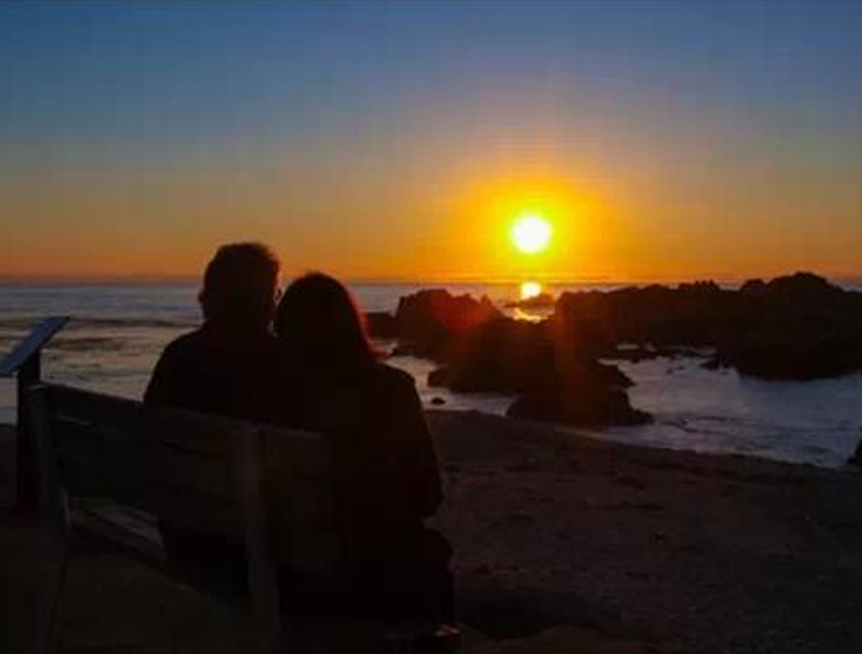 32.没有障碍可以阻止我们，因为我们有爱的翅膀。苦味不能打败我们，因为我们有爱的糖浆。没有痛苦可以压垮我们，因为我们拥有爱的骨头。亲爱的，永远爱你。