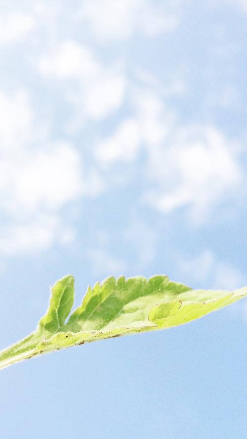 有关亲情和谐的句子 1