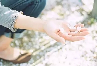 无论我们坚持什么，我们都会被某种东西欺骗