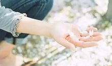 我们执着什么，就会被什么所骗