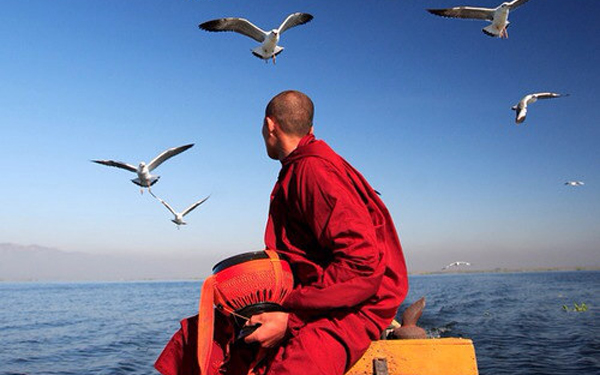 20.生活的幸福部分来自自己的努力,部分来自选择。两者的总分就是您的幸福感值。天上没有馅饼,努力工作非常重要。选择决定方向,方向决定命运。这取决于人,也取决于天堂。我们能做的就是走当前的道路,并谨慎选择。