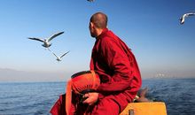 这个世界，没有一种痛是单为你准备的