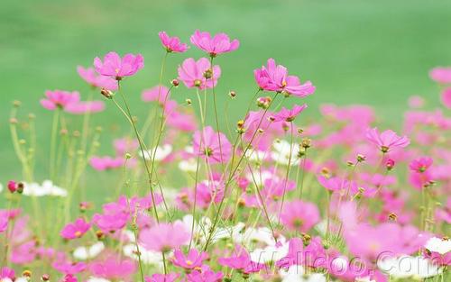 家庭和感人的简短句子谈论心情2