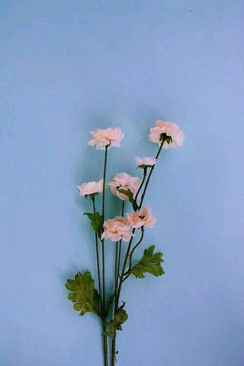 家庭和令人心动的简短句子谈论心情1