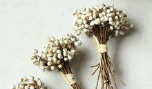 个性的qq签名短句