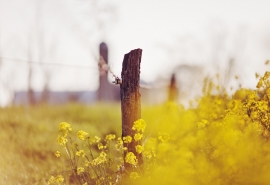 简短的家庭和温暖的句子谈论情绪短语1