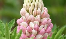 亲情暖心的短句子说说心情短语