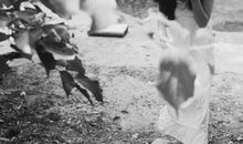 白槿湖经典语录