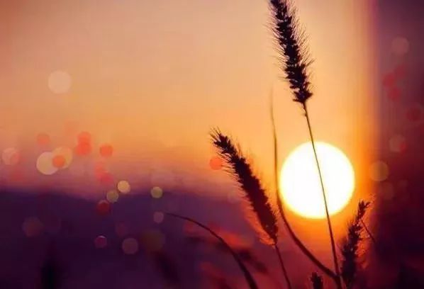 20.如果您想过上美好的生活，则需要付出很大的努力。不要抱怨，不要放弃，忘记所有“不可能”的借口，坚持“没问题”的理由，早上好！