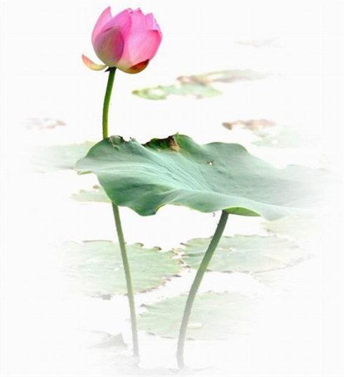 伤感句子心凉心痛的 2