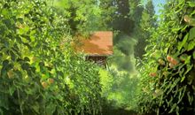 优美的散文句子