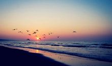 凄凉唯美爱情语录