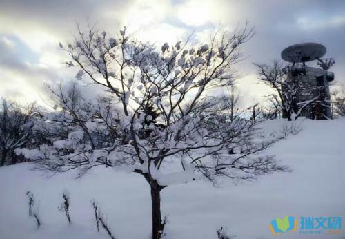 关于描绘雪的美丽句子