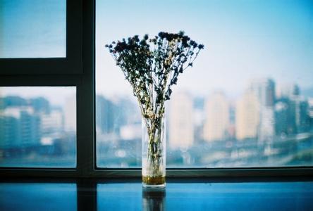 我真的很想和你回到过去