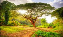 关于生命的座右铭