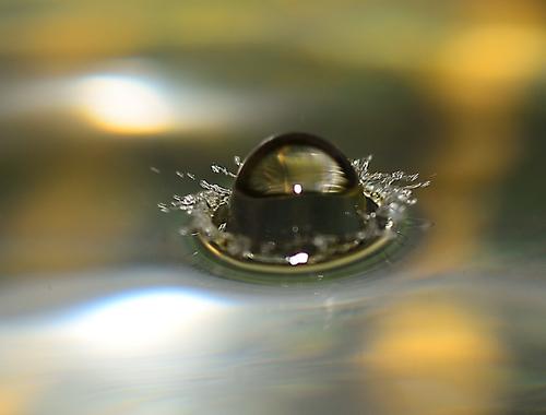 亲情人心凉的句子 1