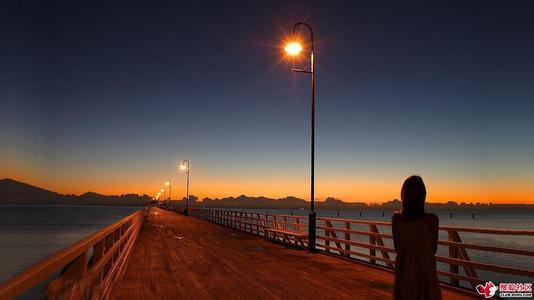 亲情人心凉的句子 2