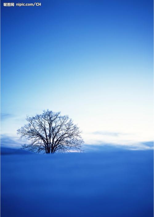 关于毅力的名言