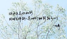 优美的说说句子集 说说控