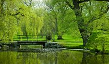 饱含深情的句子亲情