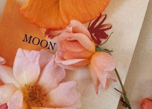 甜蜜温柔的小短句 爱情里温柔的撩人情话 2