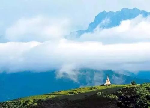 10.不要因为孤独而爱错人，更不要因为爱错人而终生寂寞。