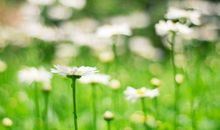 亲情是触动心灵的句子