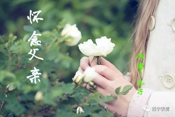 9.您只能安慰自己，为这个家庭，您的孩子度过一生的心，流下的汗水，以及您放下的尊严，终于要终结。世界的痛苦再也无法伤害您，过去的悲伤已经得到了治愈。