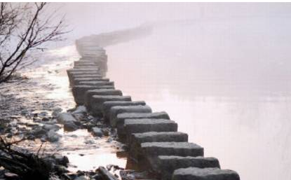 30.在一个狗屎杀死甲虫的国家，卖大狗屎可以成功。