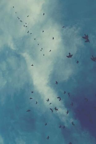 描写悲伤心痛样子的句子 2