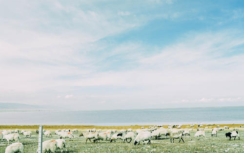 愿儿子开心的句子 2