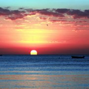 表现亲情的优美的句子