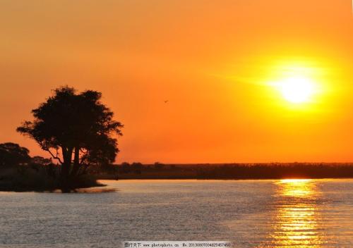 向往亲情事事美好伤感的句子 1