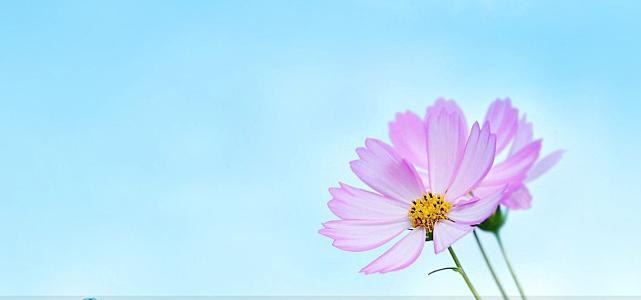 向往亲情事事美好伤感的句子