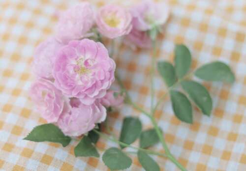 坠入星河的温柔仙句合集 超级温柔的爱情语录