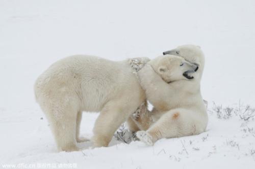 关乎于亲情的句子